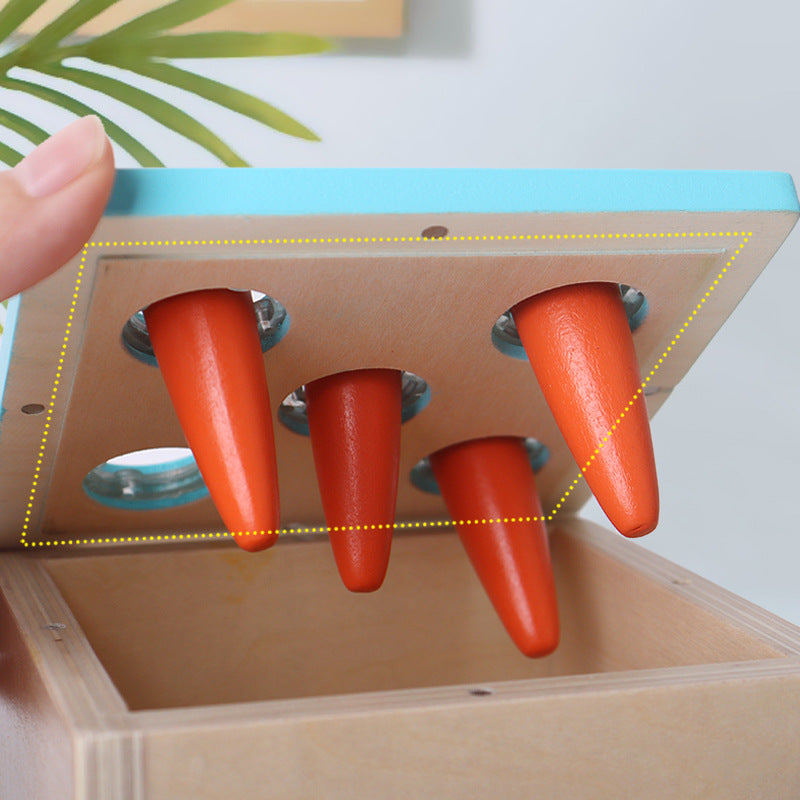 5 in 1 Activity Cube