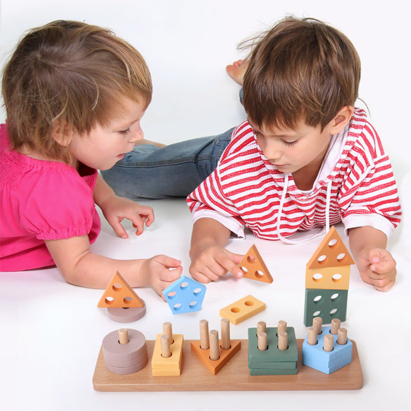Montessori Wooden Shape and Colour Matching Puzzle