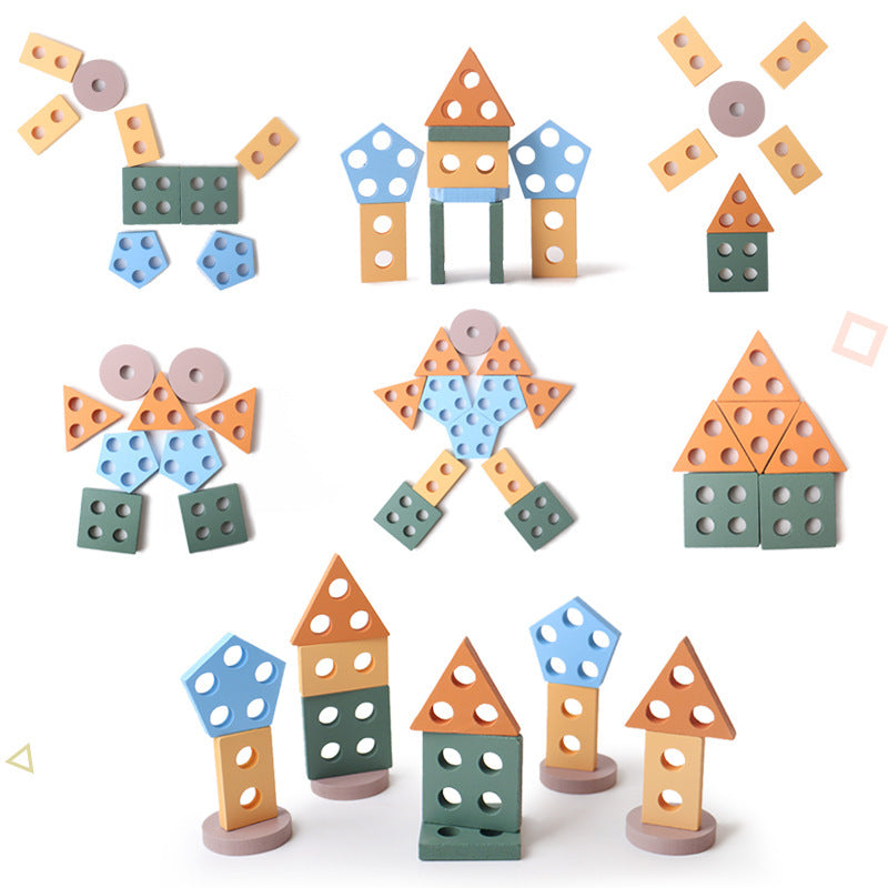 Montessori Wooden Shape and Colour Matching Puzzle