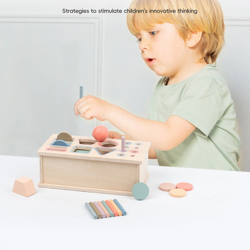 Montessori Wooden Shape and Colour Sorting Box