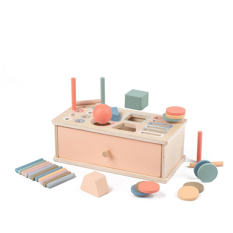 Montessori Wooden Shape and Colour Sorting Box